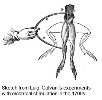 Sketch of Luigi Galvani's Experiments with Electrical Stimulation