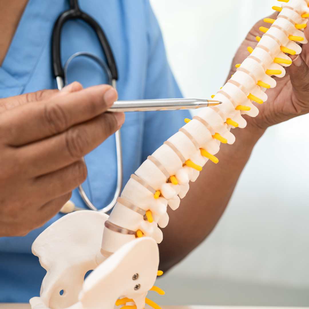 An image of a doctor pointing at a spine to demonstrate growing in spinal cord injury awareness.