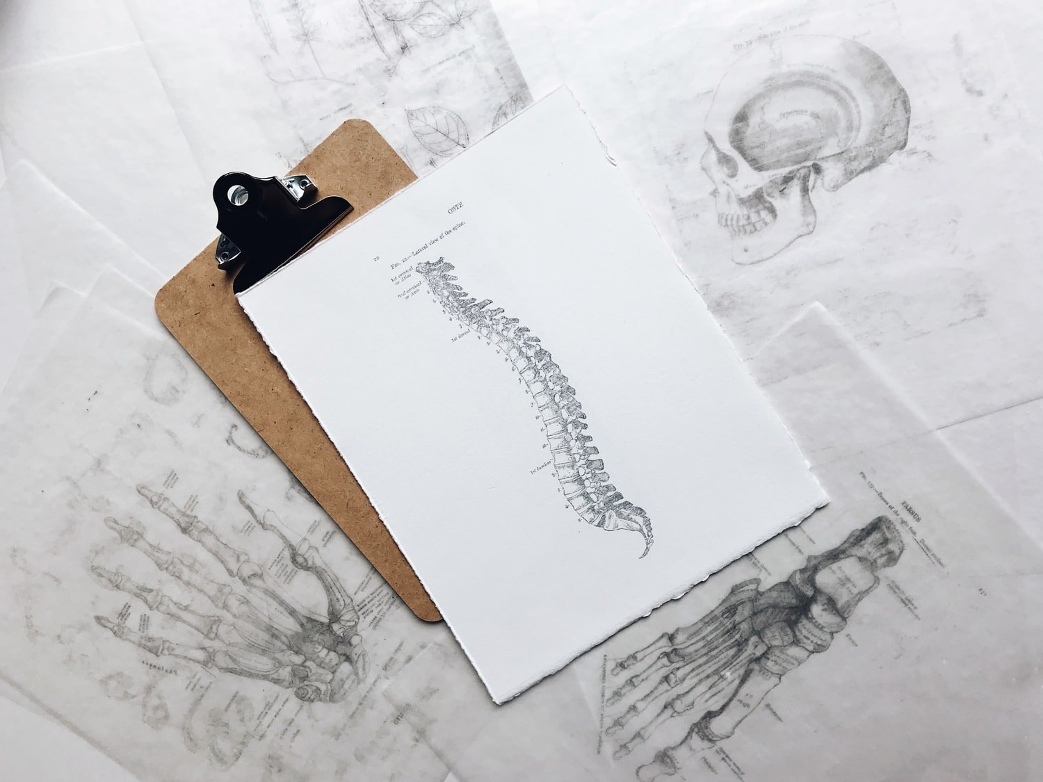 Diagnosing an SCI: Identification and Paralysis Types