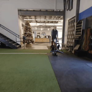 Regaining your independence after a spinal cord injury (SCI)